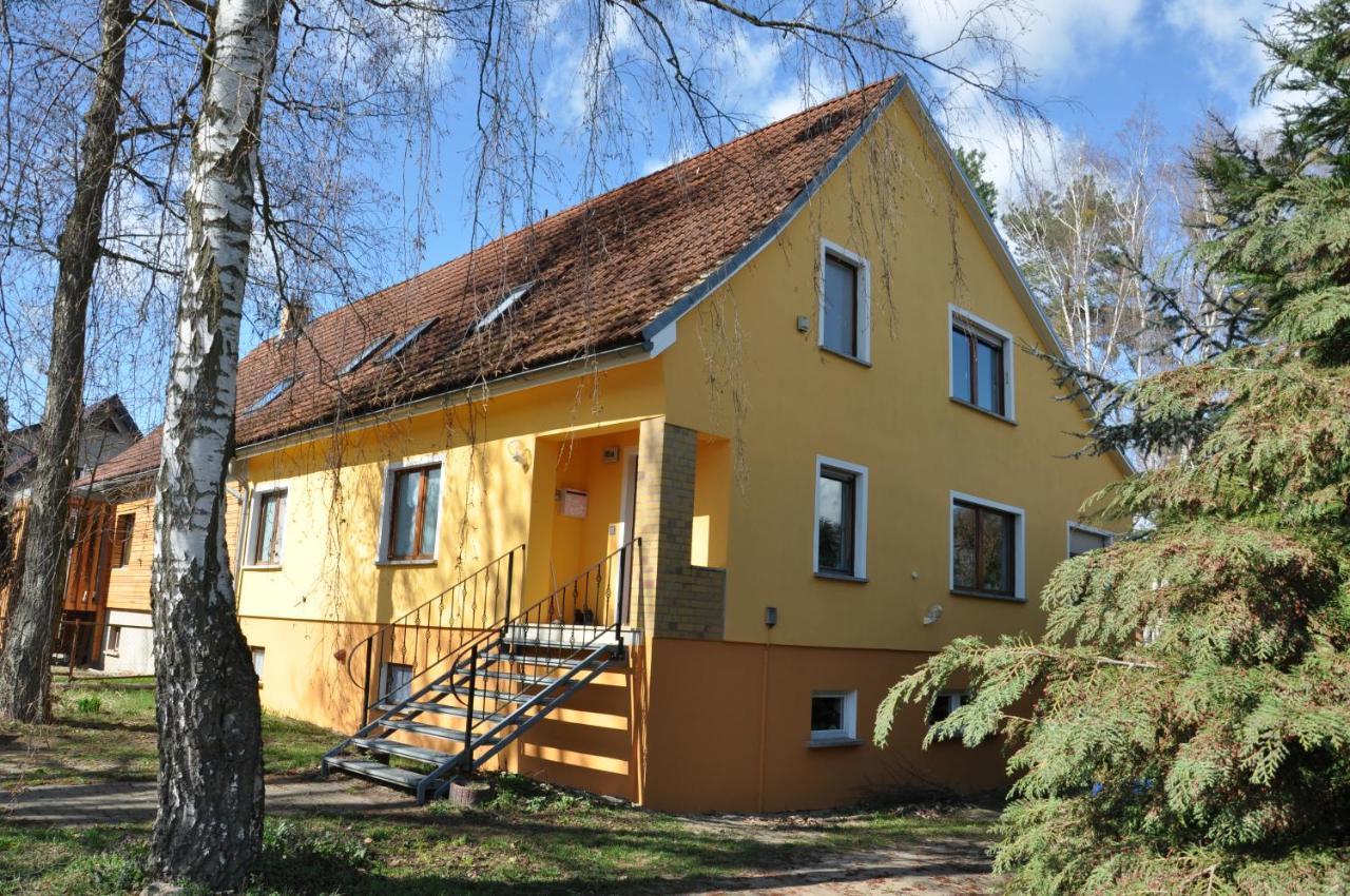 Buntspecht Logis * Angermunde